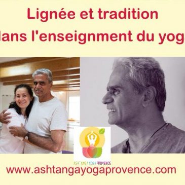 Formation de professeurs de yoga en Vinyasa et Ashtanga Vinyasa Yoga 