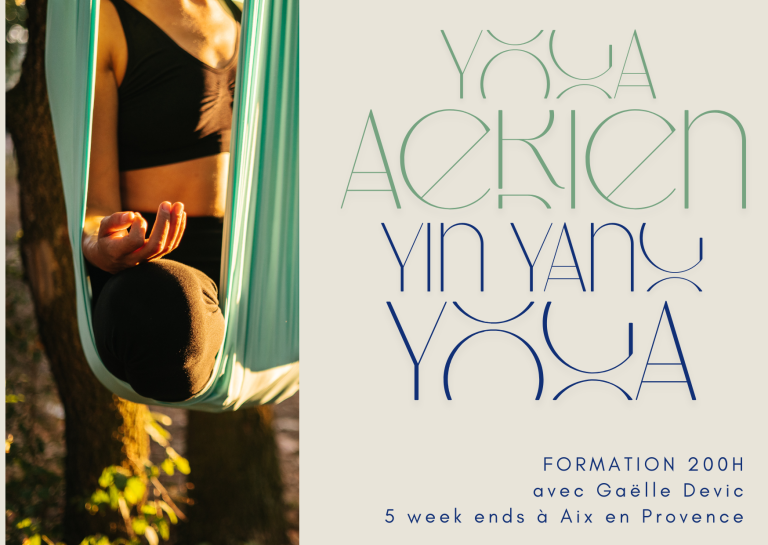 formation yoga aérien
