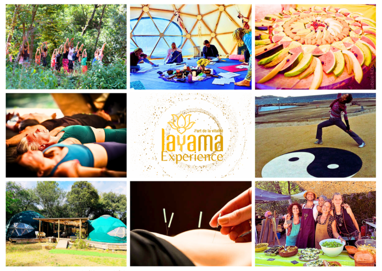 journée immersive yoga
